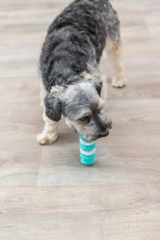 Trixie Denta Fun Knochen Hundespielzeug